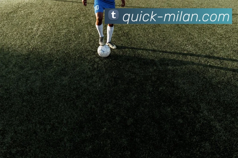 米兰体育平台生态图