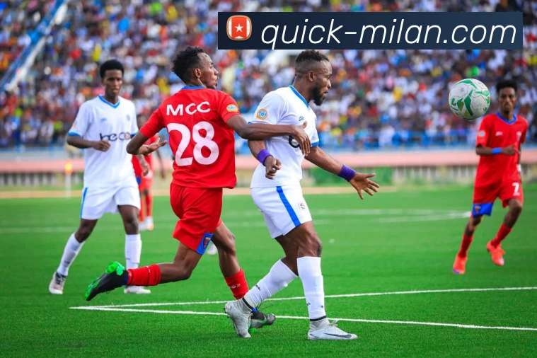 米兰体育APP 封面图